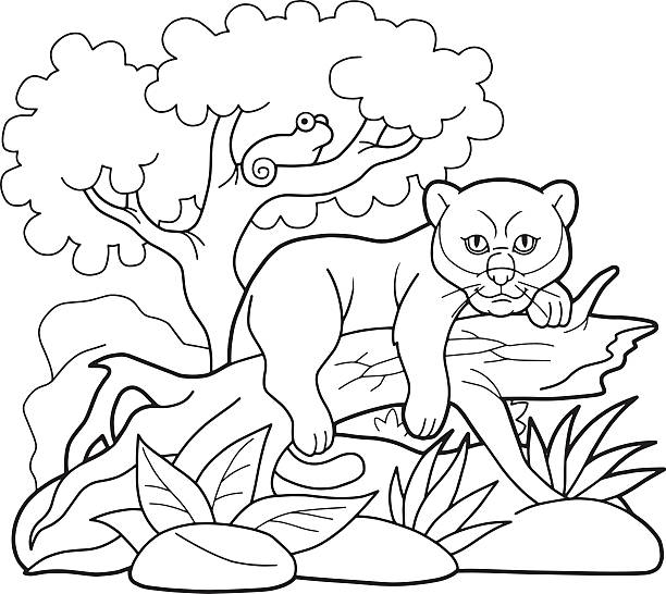 panther little cartoon panther resting on an old tree mountain lion tree stock illustrations