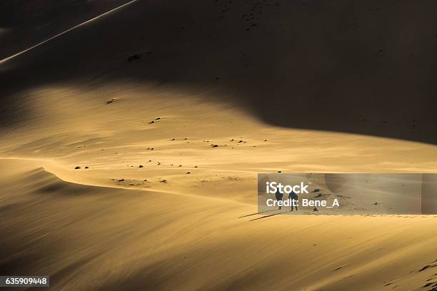 Walking A Sand Dune Stock Photo - Download Image Now - Desert Area, Walking, Accidents and Disasters