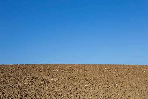Rural landscape