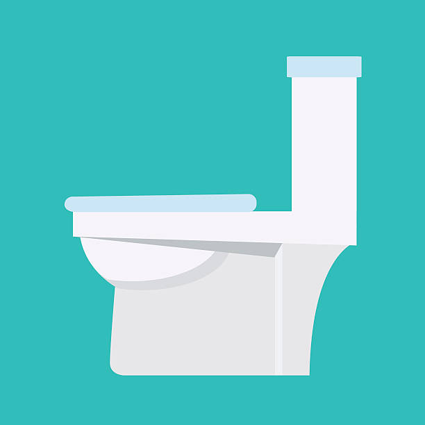 Flush toilet vector icon. Sanitation procelain fixture symbol Flush toilet vector icon. Sanitation procelain fixture symbol with white seat and bowl. Plumbing equipment sign. squat toilet stock illustrations