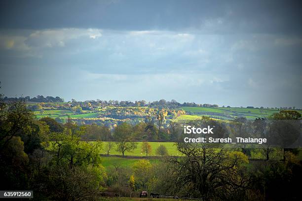 Panorama Of East Leicestershire Countryside Stock Photo - Download Image Now - Leicester, Leicestershire, Ash Tree