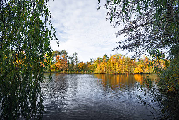 istock Colorful trees in the autumn 635913488