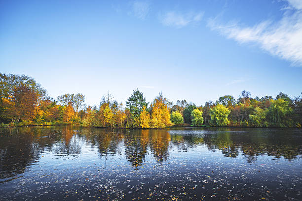 istock Autumn landscape with a lake and trees 635913880