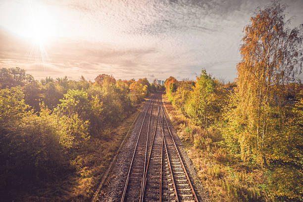 istock Railroad in autumn going to the city 635914006