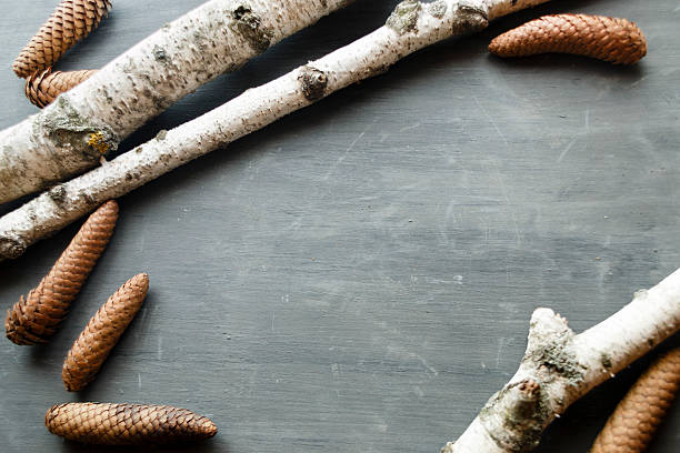 istock Christmas Holidays Background With Pine Cones and birch 635915886