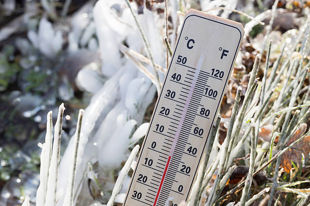 istock Thermometer with Zero degree Celsius next to frozen grass blades 635916624