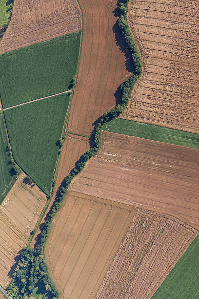 istock aerial view of green harvest fields 635917754