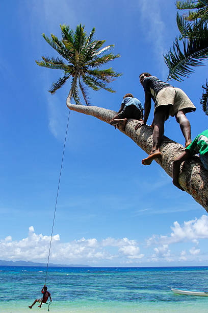 Local kids swinging on a rope swing in Lavena village Taveuni, Fiji - November 27, 2013: Local kids swinging on a rope swing in Lavena village, Taveuni Island, Fiji. Taveuni is the third largest island in Fiji. taveuni stock pictures, royalty-free photos & images