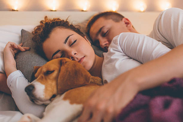 istock Young couple relaxing on the bed with her pet dog 635921692