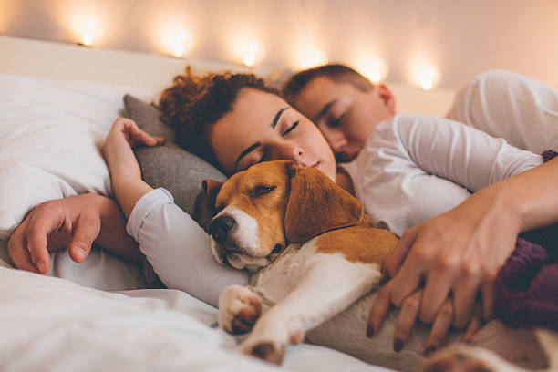 istock Young couple relaxing on the bed with her pet dog 635925320