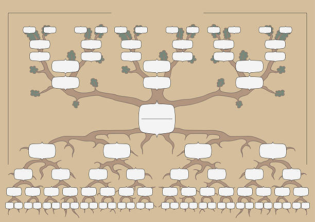 The genealogical tree The genealogical tree, vector chart pics of family tree chart stock illustrations