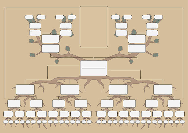 der stammbaum - stammbaum stock-grafiken, -clipart, -cartoons und -symbole