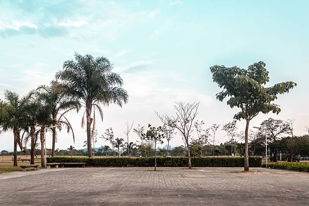 Photo of Villa-Lobos Park in San Paulo (Sao Paulo), Brazil (Brasil)