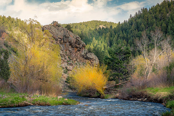 istock Landscape of river flowing into mountains. 635935412