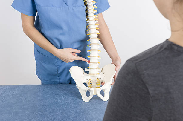 istock Doctor showing a hernia in a skeleton to a patient. 635935428