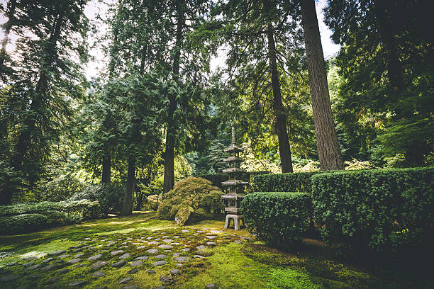 Garden structure at lush Japanese Garden Trees and garden structure in beautiful Japanese Garden setting. Portland, Oregon, USA. portland japanese garden stock pictures, royalty-free photos & images