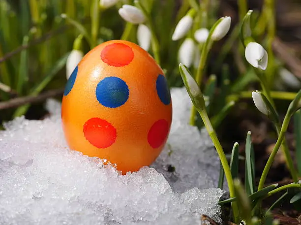 Easter egg meadow snowdrop snowflake outside in the meadow