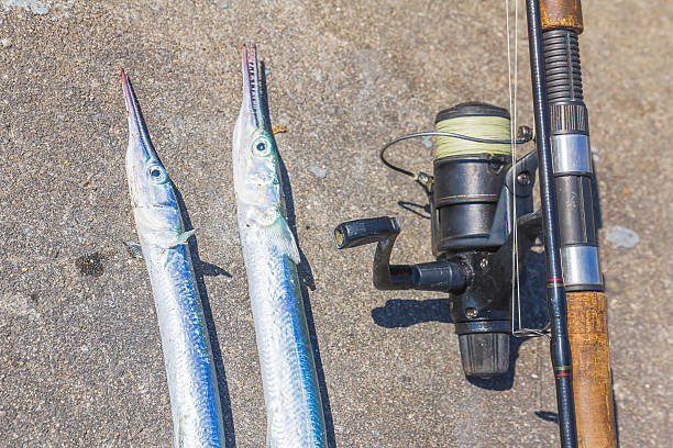 istock Old fishing rod 635940148