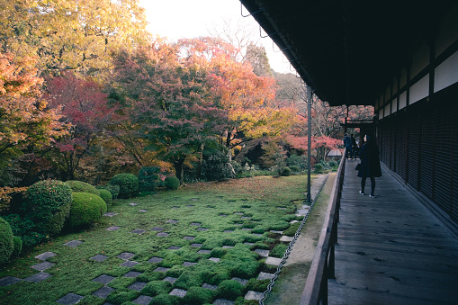 Japanese woman enjoying autumn leaves at Tofukuji Temple, Kyoto