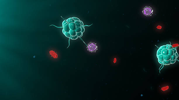 Bacteria attacking the immune system stock photo