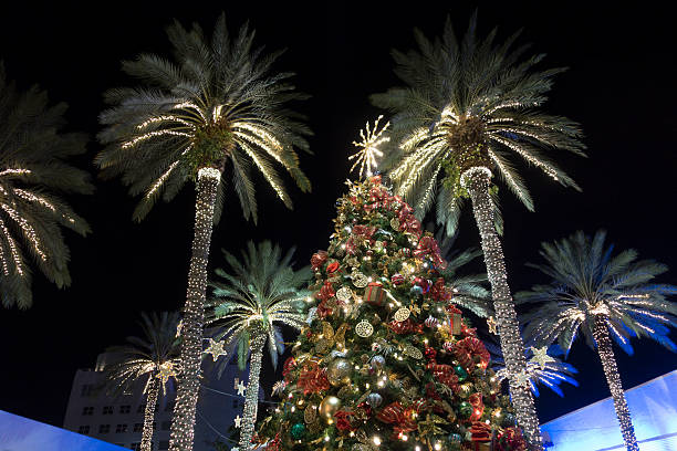 Christmas Tree Decorations With Palm Trees Miami Beach Miami Beach, Florida, USA - December 7, 2016: Christmas Tree Decorations With Palm Trees Lincoln Road Mall florida christmas stock pictures, royalty-free photos & images