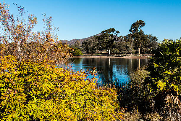 lago murray en temporada de otoño en san diego - lake murray fotografías e imágenes de stock