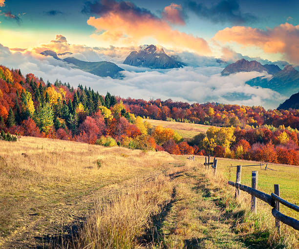 istock Colorful autumn scene in the mountains. 635948260