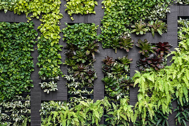 istock Green wall, eco friendly vertical garden 635949984
