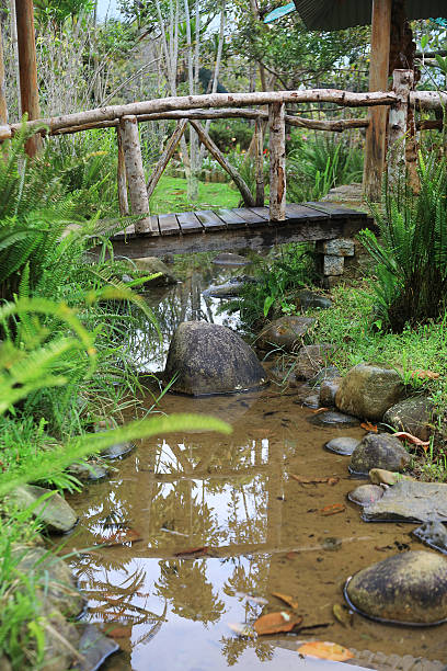 istock Wooden bridge across the brook 635950192