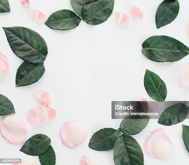 Flower Composition Flatlay Stock Photo - Download Image Now - Rose - Flower, Pink Color, Leaf