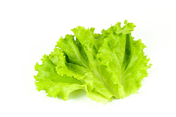 istock Salad leaf. Lettuce isolated on white background 635953458
