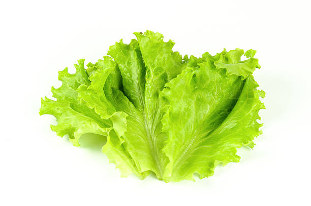 istock Salad leaf. Lettuce isolated on white background 635953494
