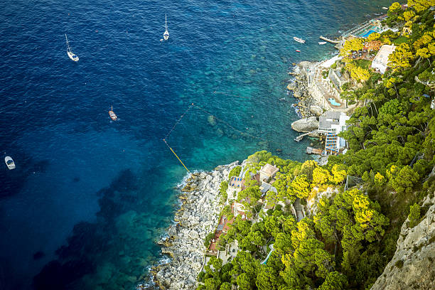 istock Aerial view on Capri island, Italy 635955876