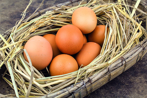 istock Brown eggs in nest hen eggs on wooden background 635956818