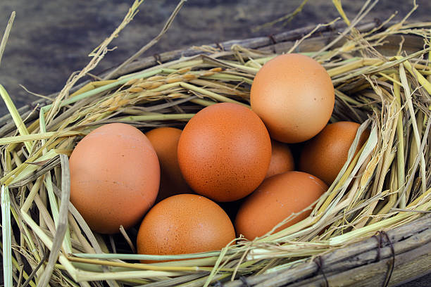 istock Brown eggs in nest hen eggs on wooden background 635956996