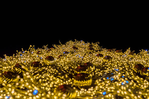 istock Christmas tree decorated with lights in the night 635959900