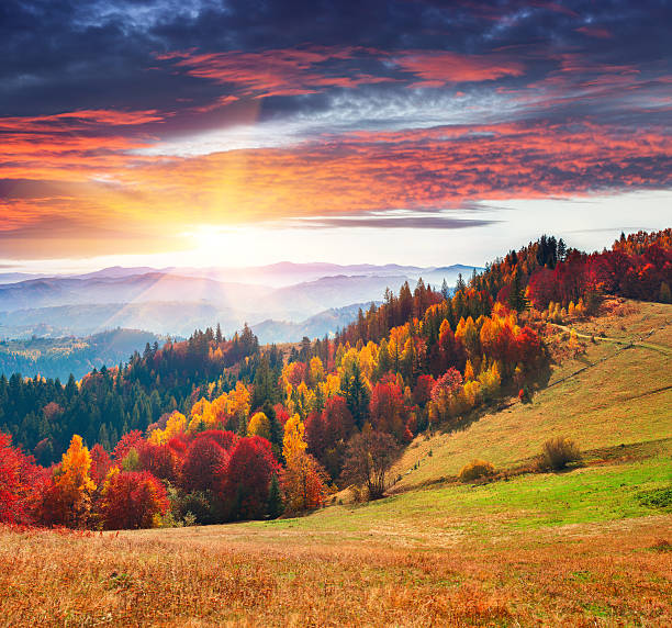 istock Colorful autumn morning in the Carpathians 635960404