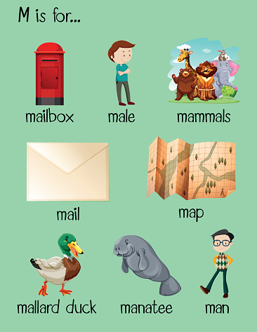 Many words begin with letter M illustration