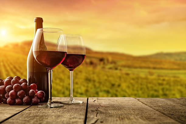 istock Red wine served on wooden planks, vineyard on background 635964246