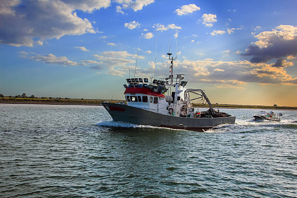 istock Fishing boat coming back to pier at sunset 635964898