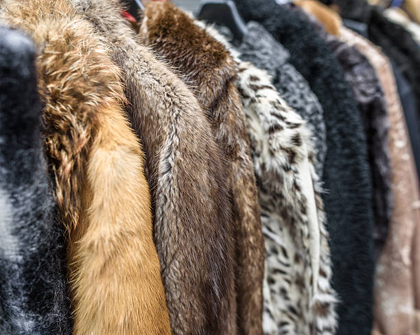 istock Vintage Fur Coats 635973862