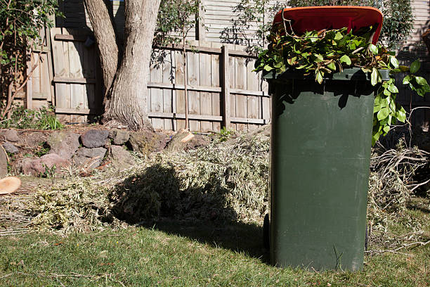istock Organic waste in a recycle bin outdoors 635978470
