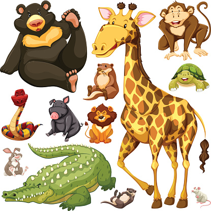 Different Types Of Wild Animals Stock Illustration - Download Image Now -  Otter, Animal, Animal Wildlife - iStock