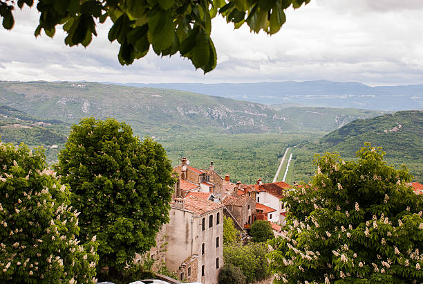 istock Famous Motovun, Istra, Croatia 635983432