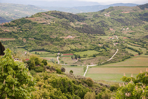 istock Famous Motovun, Istra, Croatia 635983572