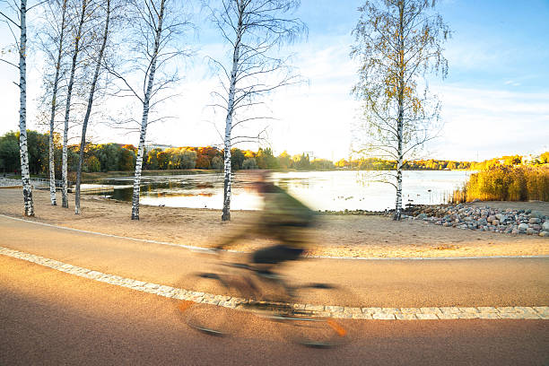 Bicycle leaning on the chestnut tree by the lake Bohinj in summer morning, copy space included