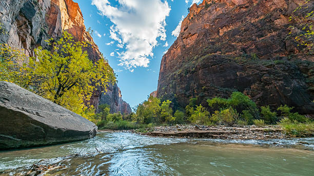 istock Riverside walk, beautiful hike along the Virgin River. 635984976