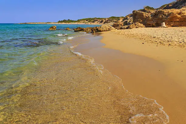 Summer seascape. Mediterranean maquis: a nature sanctuary between the land and the sea.