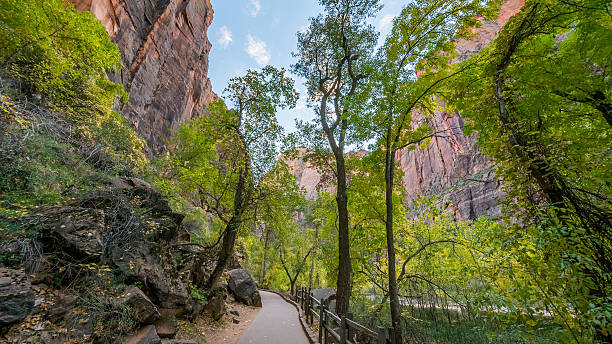 istock Beautiful paved hike along the Virgin River. 635986880