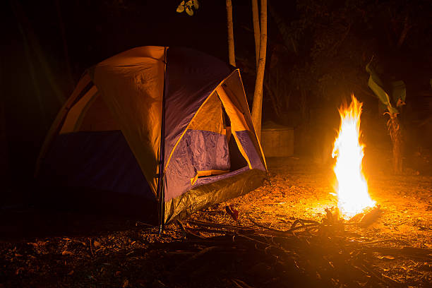 istock Bonfire and camping tent in the forest 635993478